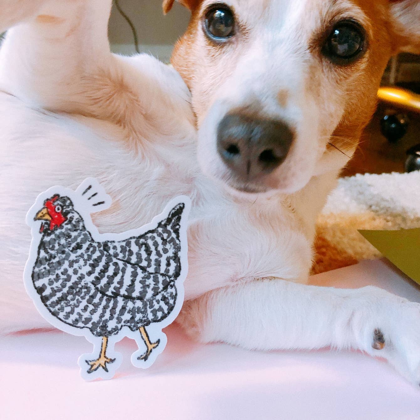 Sassy Surprised Chicken Sticker