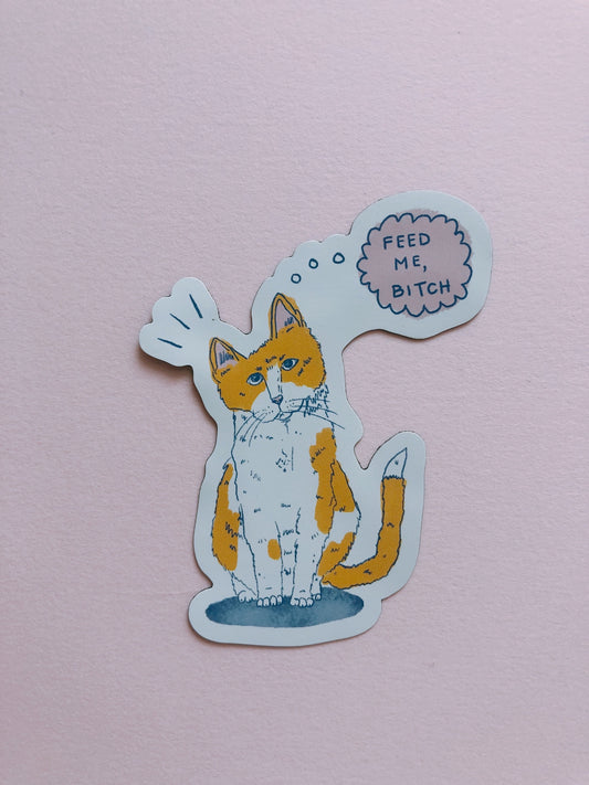 Cute Sassy Cat Magnet